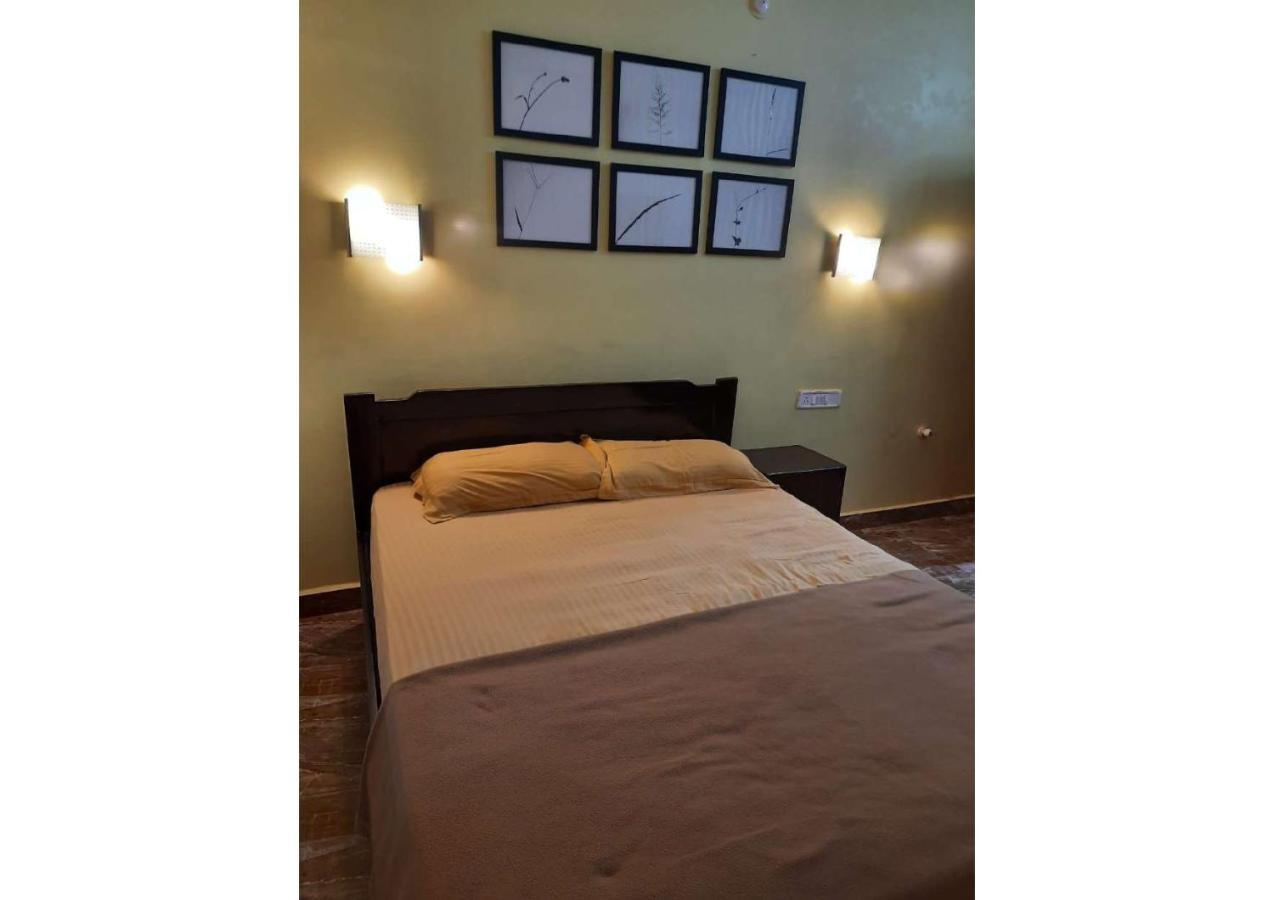 Beach Vibes Guest House باغا المظهر الخارجي الصورة